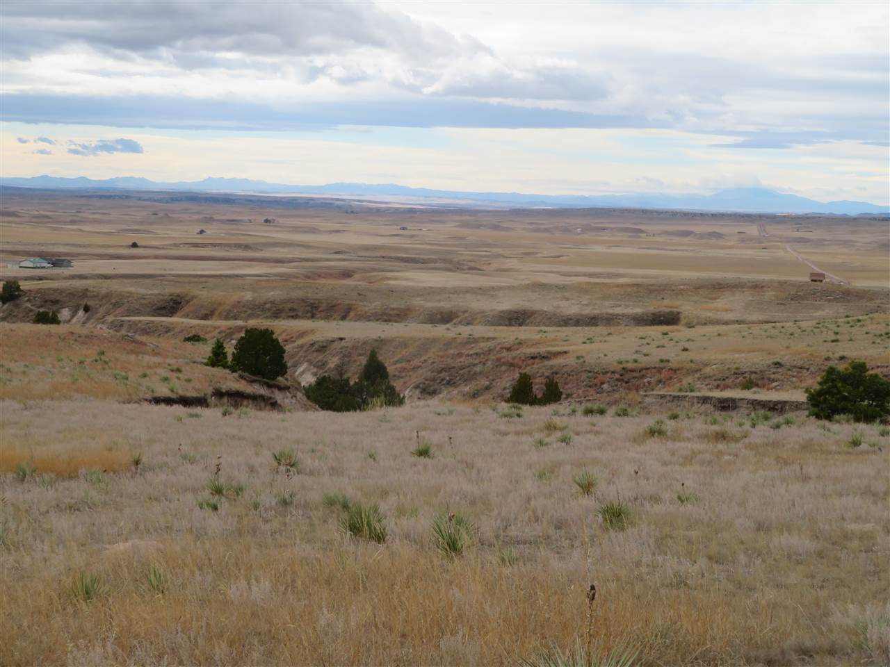 #53 Cowboy Way - Photo 1