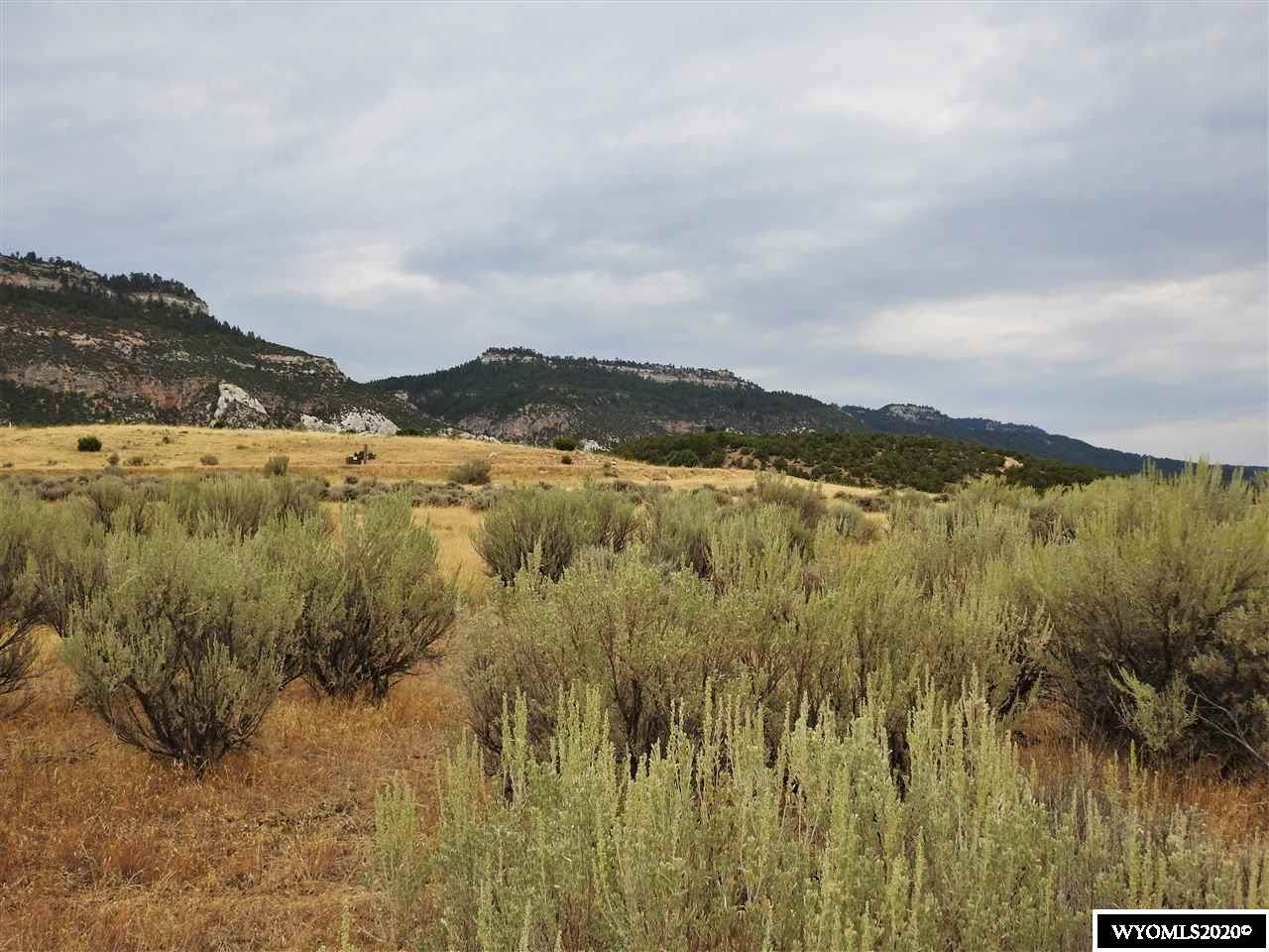 116 & 120 Deer Trail - Photo 1