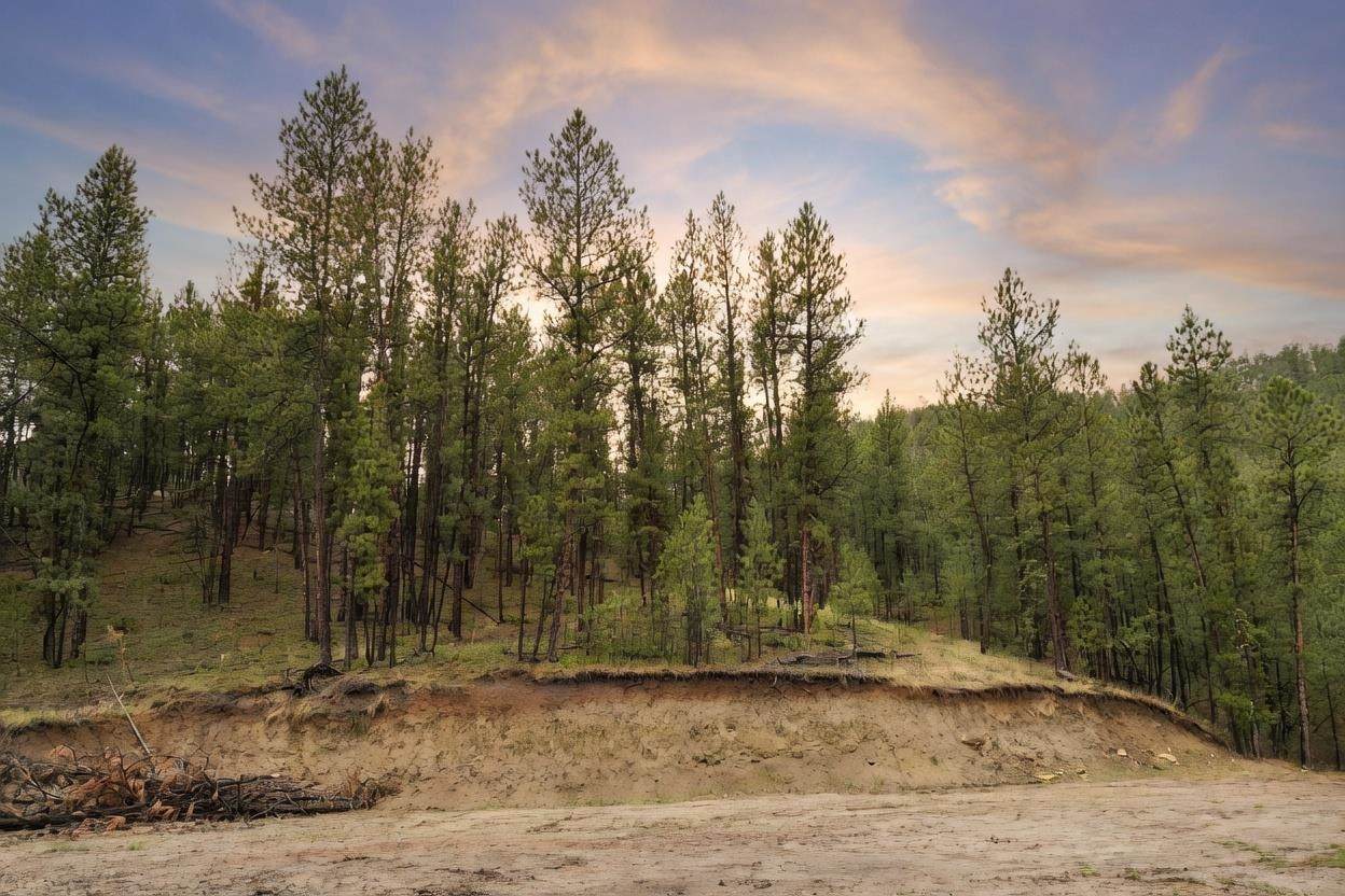 https://bt-photos.global.ssl.fastly.net/wyoming/1280_boomver_2_20261534-2.jpg