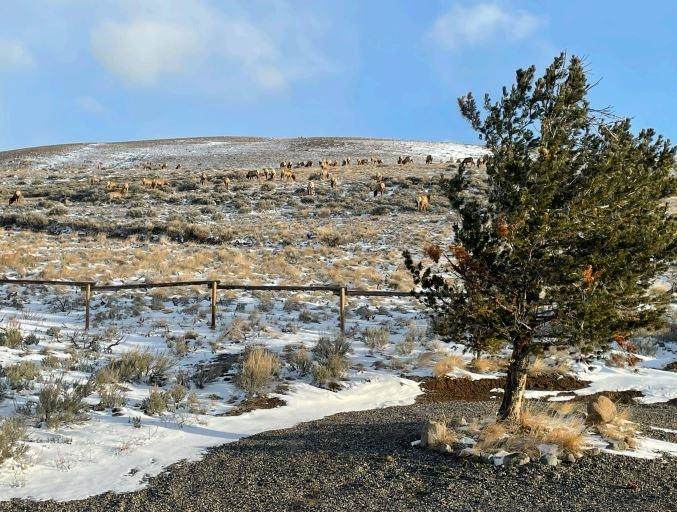 https://bt-photos.global.ssl.fastly.net/wyoming/1280_boomver_1_20262279-2.jpg