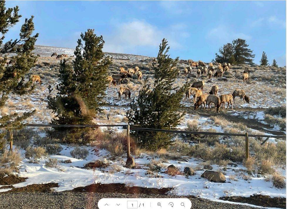 https://bt-photos.global.ssl.fastly.net/wyoming/1280_boomver_1_20262279-2.jpg