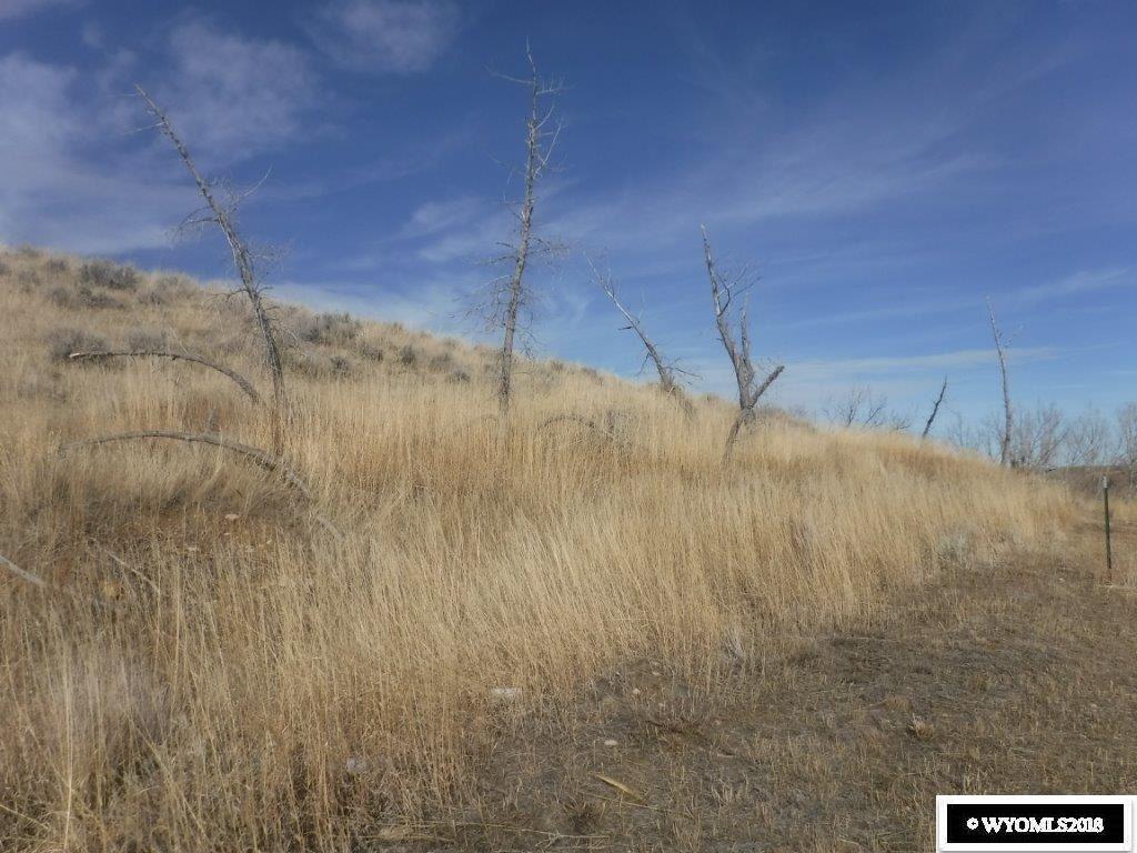 100 Watkins Street - Photo 1