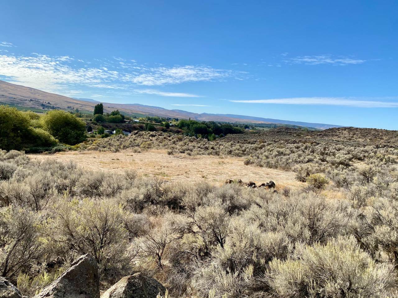 NKA Mahoney Rd - Photo 1