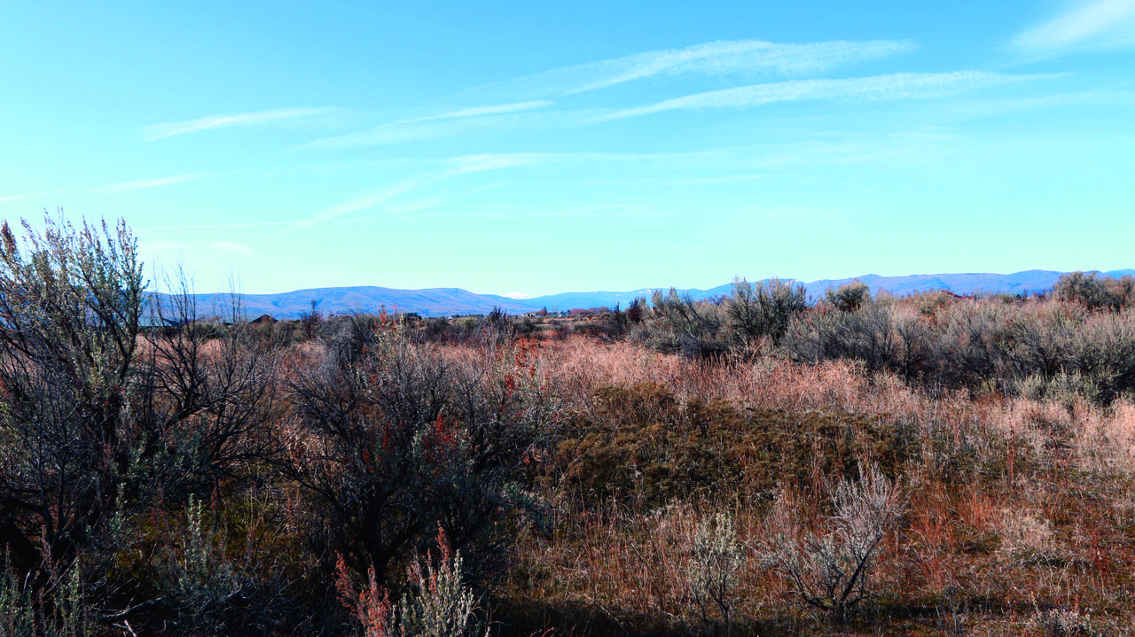 NNA Runway Ln - Photo 1