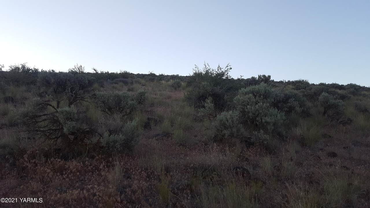 Nka Bohosky Rd - Photo 1
