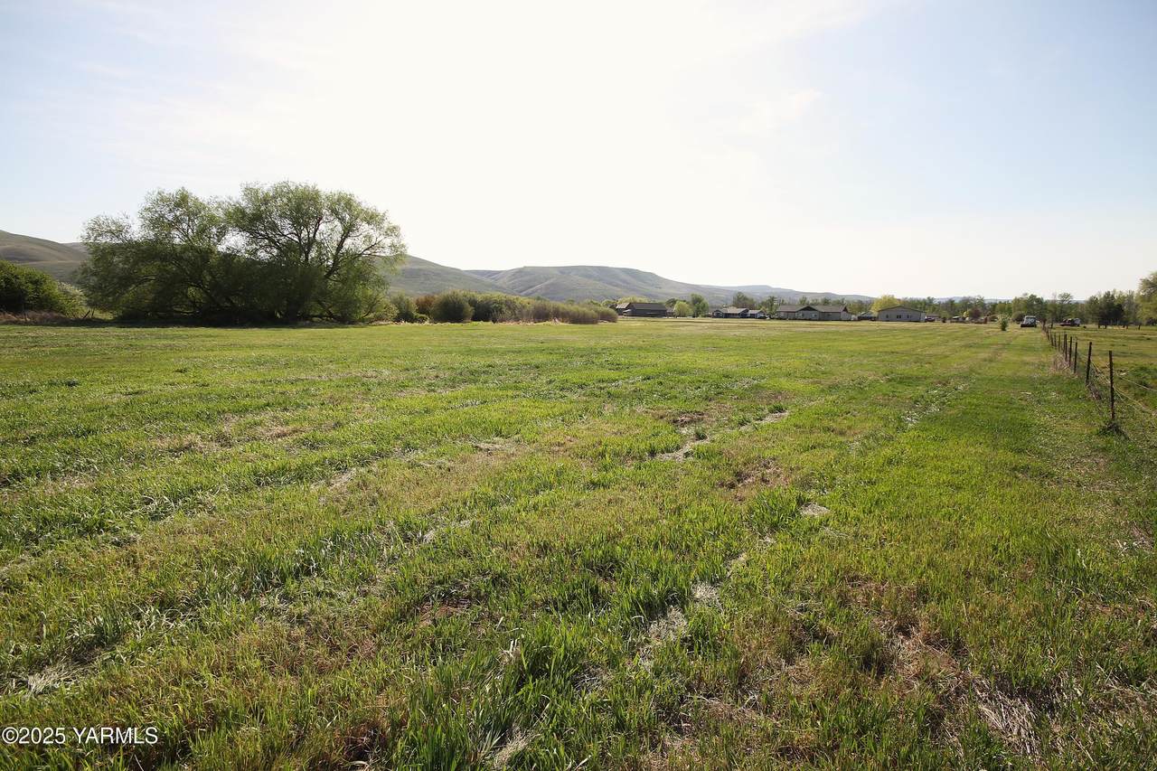 Lot 7 Woodhouse Lp - Photo 1