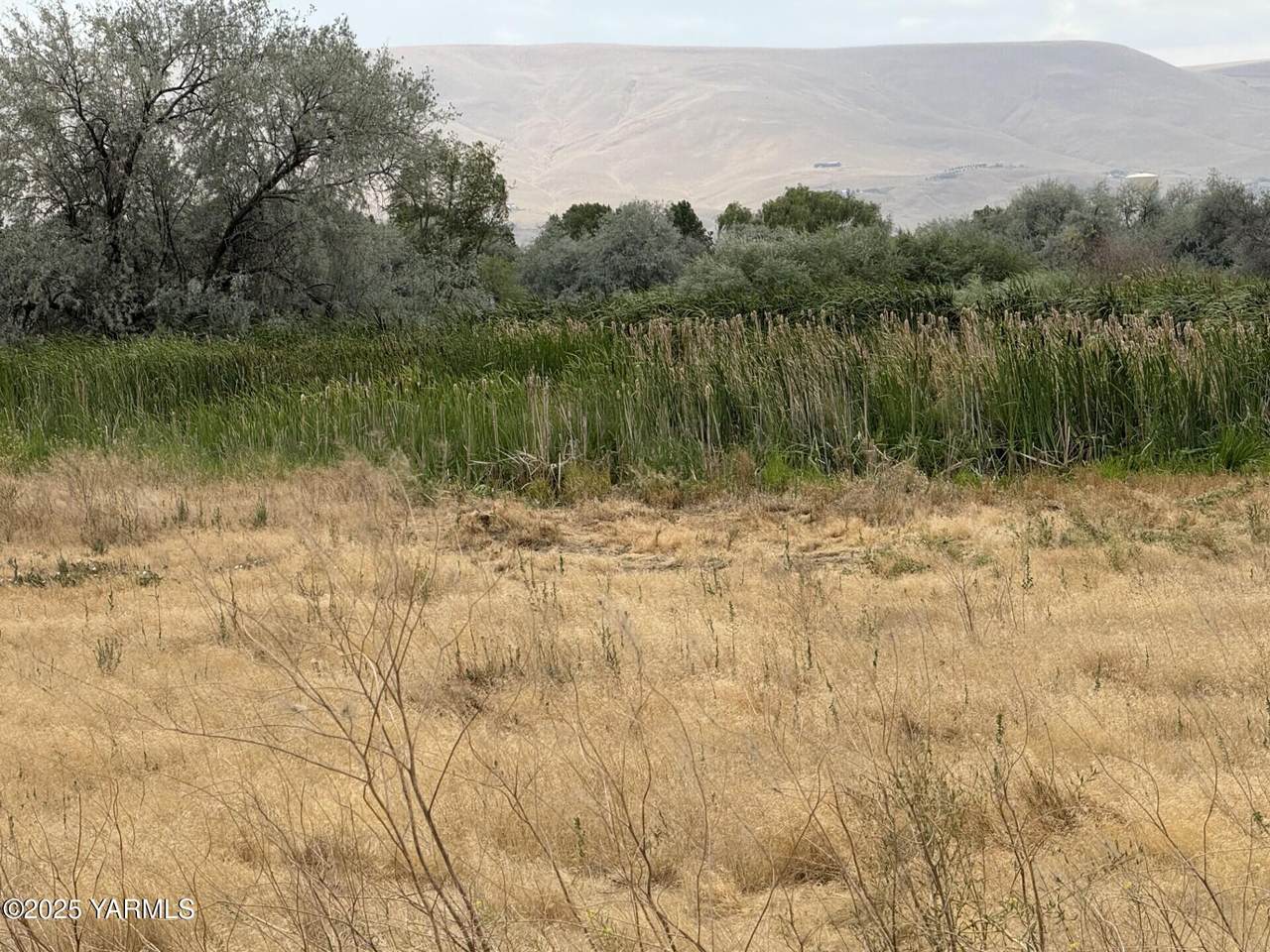 TBD Patricia Rd - Photo 1
