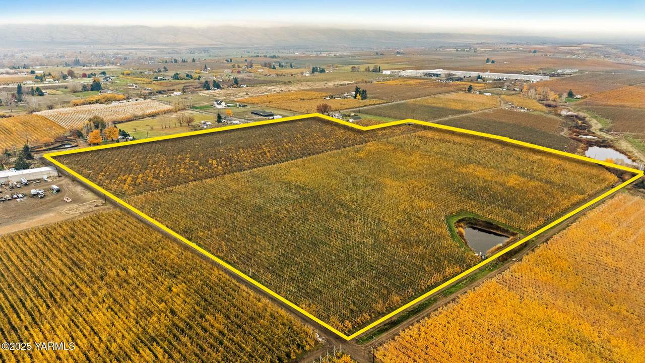 NKA Occidental Rd - Photo 1