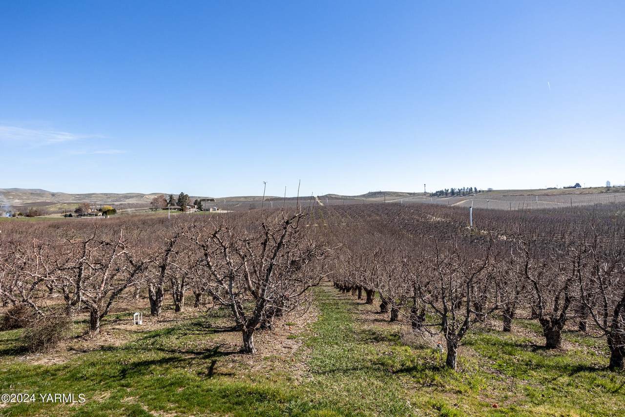 4851 Lombard Lp. Rd - Photo 1