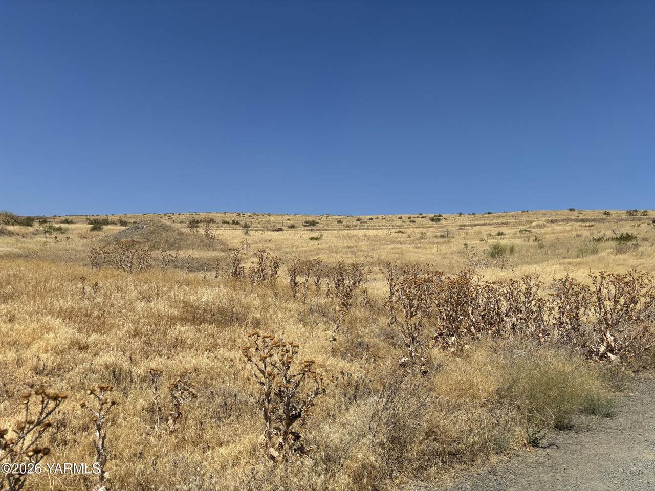 https://bt-photos.global.ssl.fastly.net/yakima/1280_boomver_1_26-2464-2.jpg