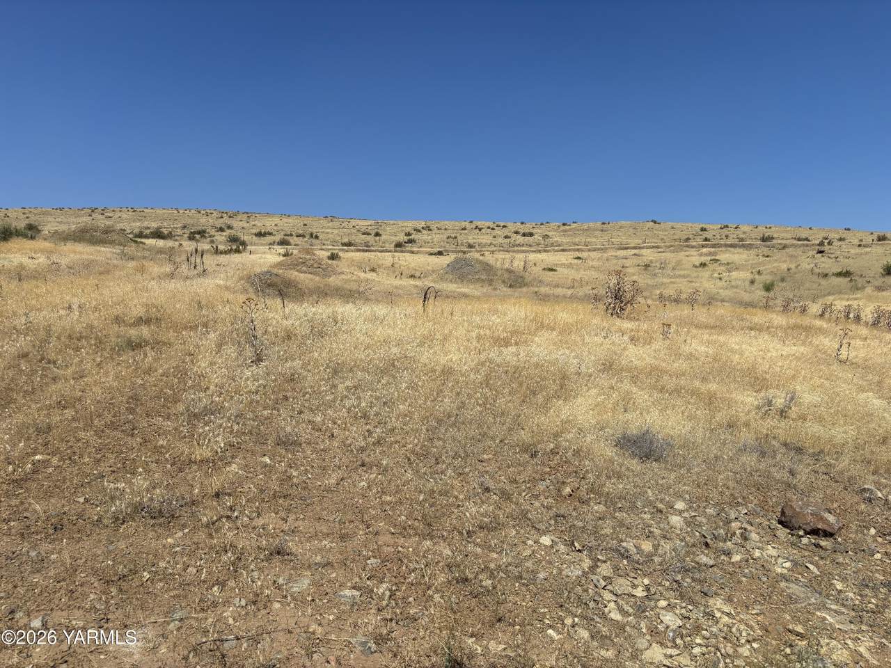 https://bt-photos.global.ssl.fastly.net/yakima/1280_boomver_1_26-2464-2.jpg