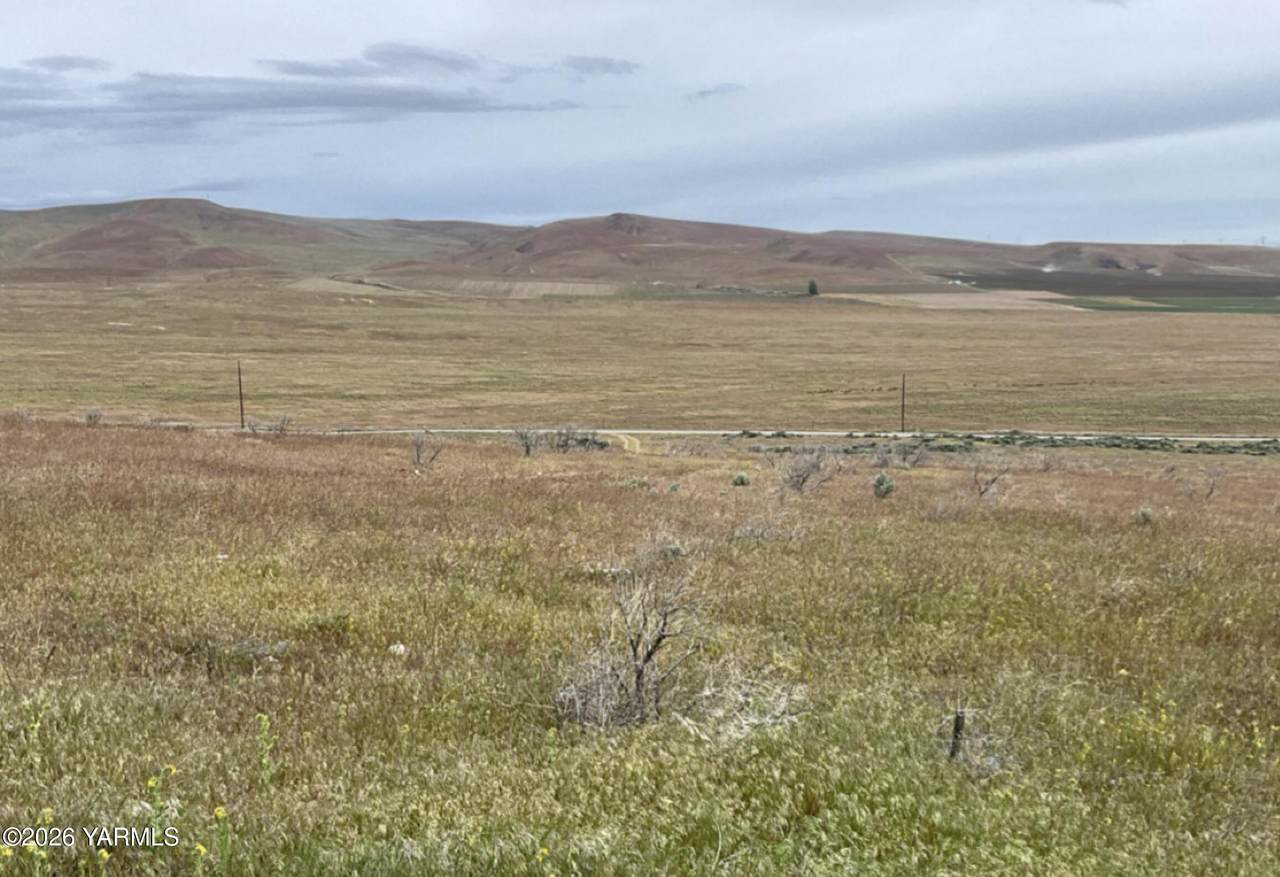 149590 Sr 24 Hwy - Photo 1