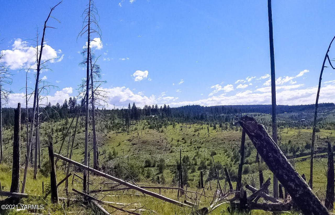 TBD Dry Pataha Creek - Photo 1