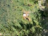 TBD Hwy 97 Ave - Photo 18