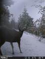 TBD Hwy 97 Ave - Photo 20