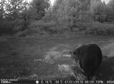 TBD Hwy 97 Ave - Photo 21