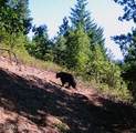 TBD Hwy 97 Ave - Photo 23