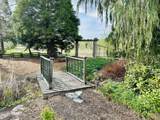 1465 Cook Rd - Photo 41
