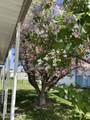 18 Washington Ave - Photo 21