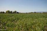 Lot 7 Woodhouse Lp - Photo 12