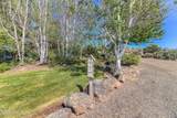 541 Basalt Springs Way - Photo 46