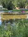 11705 Wide Hollow Rd - Photo 7