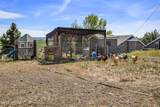 12826 Douglas Rd - Photo 53