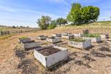 12826 Douglas Rd - Photo 54