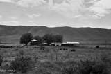 3500 Island Rd - Photo 37