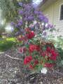 90 Rankin Rd - Photo 41