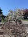 90 Rankin Rd - Photo 43