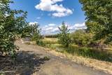 1355 Cook Rd - Photo 41