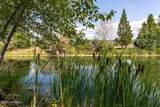 1355 Cook Rd - Photo 43