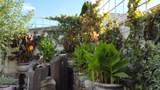 9307 Torrey Pines Ln - Photo 37
