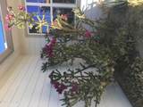 9307 Torrey Pines Ln - Photo 45