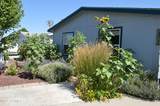 1805 70th Ave - Photo 19