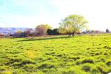 10002 Wamba Rd - Photo 30