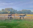 3006 79th Ave - Photo 22