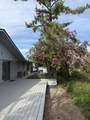 609 Skyline Dr - Photo 60