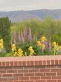 1350 Upland Way - Photo 49