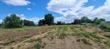 8101 Annalisa Ln - Photo 3