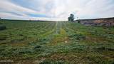 125498 Mccreadie Rd - Photo 4