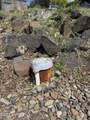 342 Sole Rd - Photo 26