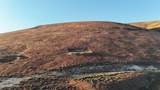NKA Roza Hill Dr - Photo 8