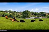 13608 Wide Hollow Rd - Photo 16