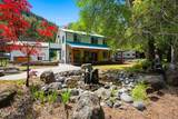 81 Pine Cliff Dr - Photo 1