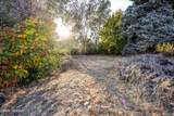 4210 Terrace Heights Dr - Photo 23