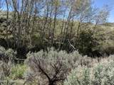 NNA Chapman Rd - Photo 3