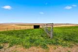 170732 Olson Rd - Photo 46