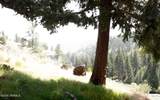 15547 Wa-410 - Photo 28